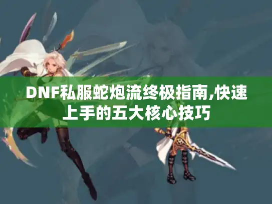 DNF私服蛇炮流终极指南,快速上手的五大核心技巧