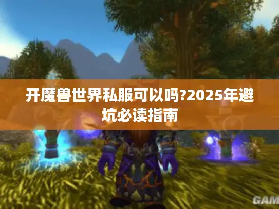 开魔兽世界私服可以吗?2025年避坑必读指南 开魔兽世界私服可以吗?2025年避坑必读指南