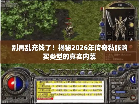 别再乱充钱了！揭秘2026年传奇私服购买类型的真实内幕