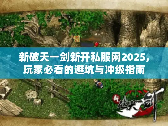新破天一剑新开私服网2025,玩家必看的避坑与冲级指南