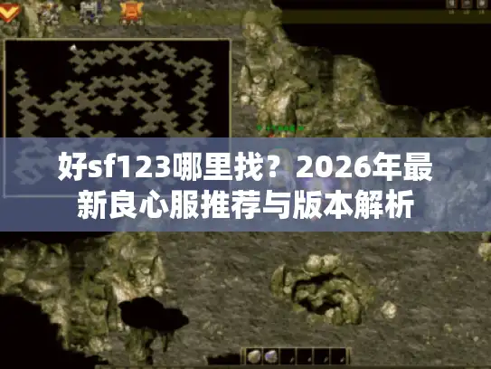 好sf123哪里找？2026年最新良心服推荐与版本解析