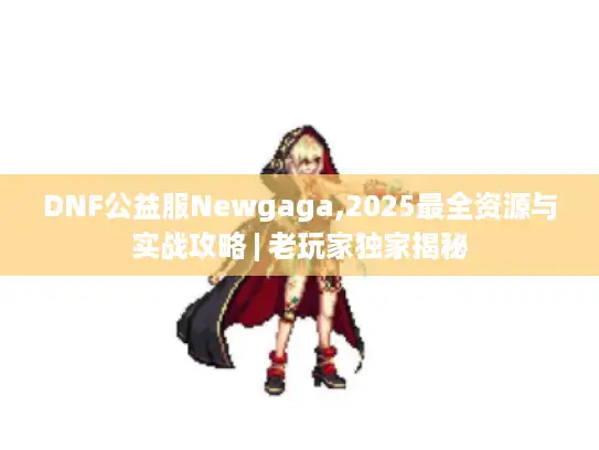 DNF公益服Newgaga,2025最全资源与实战攻略 | 老玩家独家揭秘