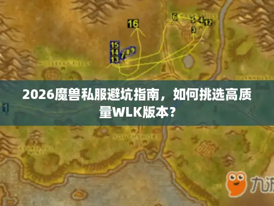 2026魔兽私服避坑指南，如何挑选高质量WLK版本？