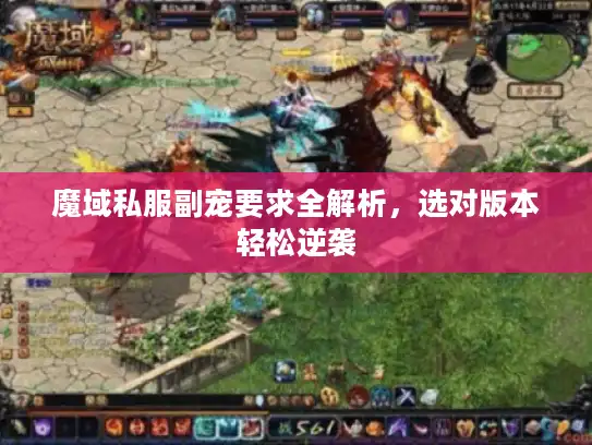 魔域私服副宠要求全解析，选对版本轻松逆袭