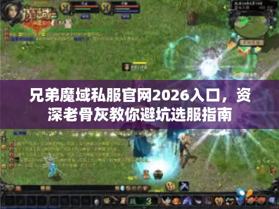 兄弟魔域私服官网2026入口，资深老骨灰教你避坑选服指南