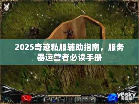 2025奇迹私服辅助指南,服务器运营者必读手册 2025奇迹私服辅助指南,服务器运营者必读手册