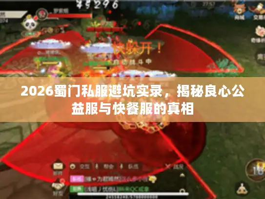 2026蜀门私服避坑实录，揭秘良心公益服与快餐服的真相