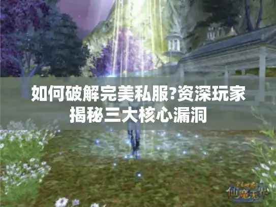 如何破解完美私服?资深玩家揭秘三大核心漏洞