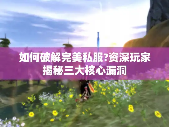 如何破解完美私服?资深玩家揭秘三大核心漏洞