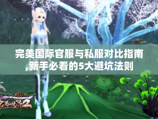 完美国际官服与私服对比指南,新手必看的5大避坑法则