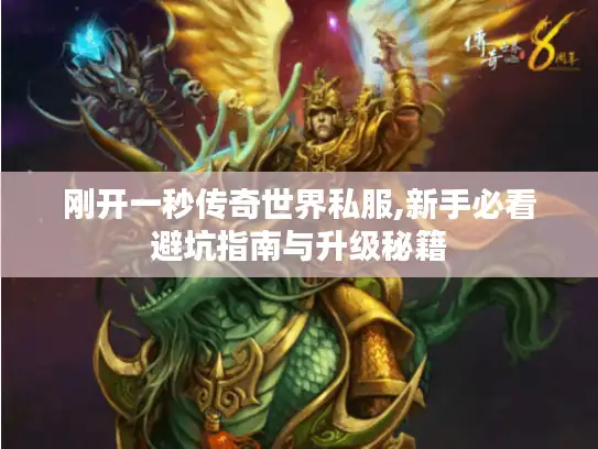 刚开一秒传奇世界私服,新手必看避坑指南与升级秘籍 刚开一秒传奇世界私服,新手必看避坑指南与升级秘籍