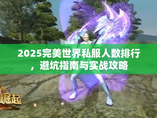 2025完美世界私服人数排行，避坑指南与实战攻略