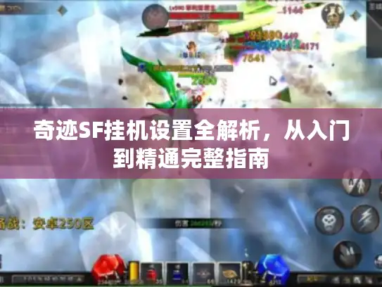 奇迹SF挂机设置全解析，从入门到精通完整指南