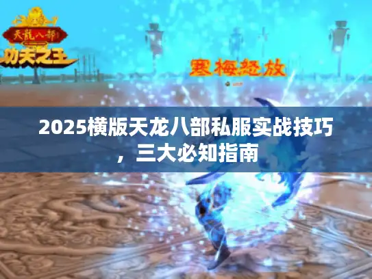 2025横版天龙八部私服实战技巧,三大必知指南 2025横版天龙八部私服实战技巧,三大必知指南