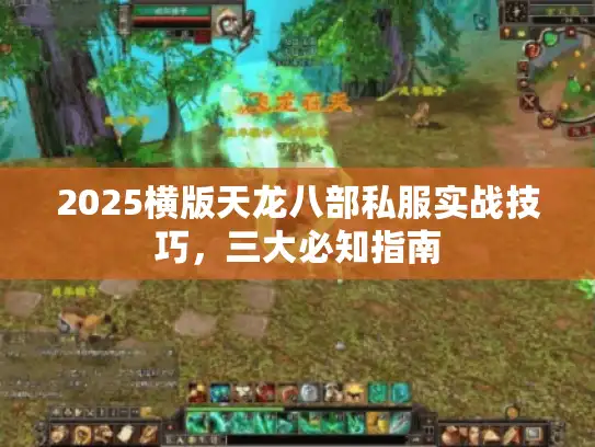 2025横版天龙八部私服实战技巧,三大必知指南 2025横版天龙八部私服实战技巧,三大必知指南
