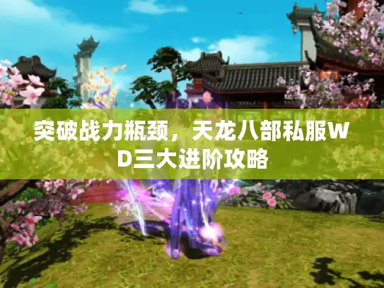 突破战力瓶颈，天龙八部私服WD三大进阶攻略