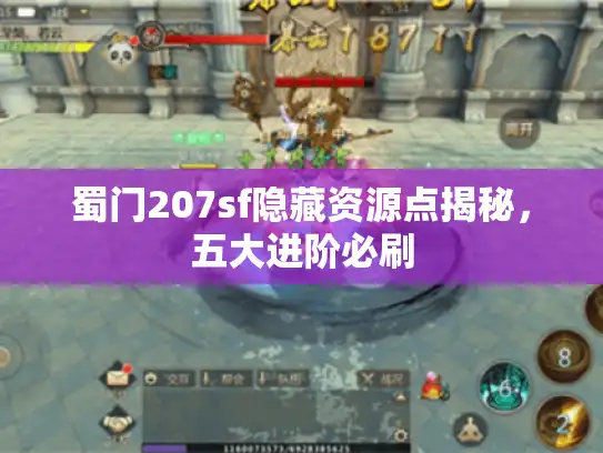蜀门207sf隐藏资源点揭秘，五大进阶必刷