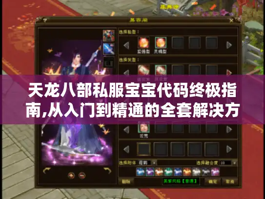 天龙八部私服宝宝代码终极指南,从入门到精通的全套解决方案 天龙八部私服宝宝代码终极指南,从入门到精通的全套解决方案
