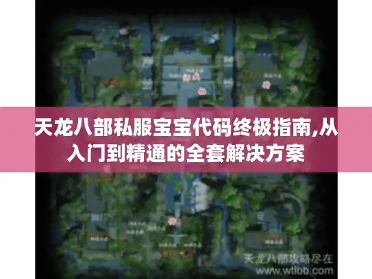 天龙八部私服宝宝代码终极指南,从入门到精通的全套解决方案 天龙八部私服宝宝代码终极指南,从入门到精通的全套解决方案