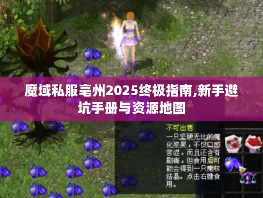 魔域私服亳州2025终极指南,新手避坑手册与资源地图