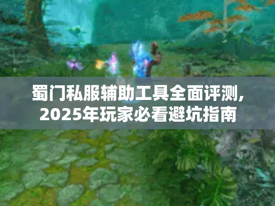蜀门私服辅助工具全面评测,2025年玩家必看避坑指南