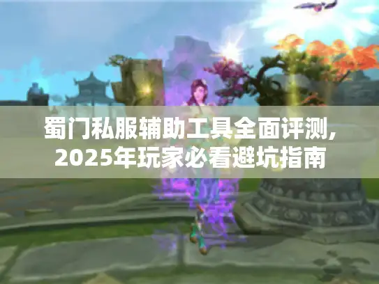 蜀门私服辅助工具全面评测,2025年玩家必看避坑指南