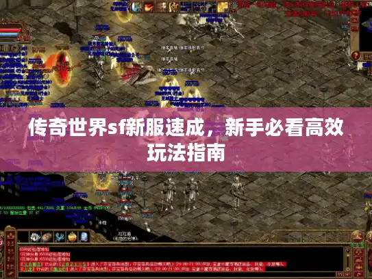 传奇世界sf新服速成，新手必看高效玩法指南