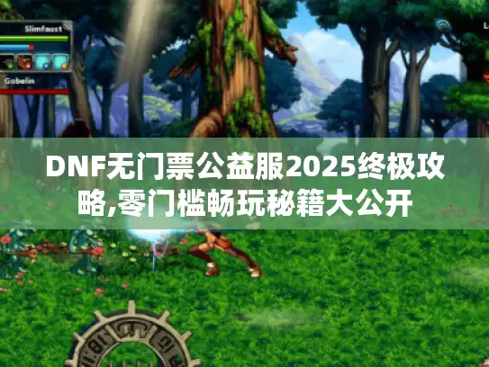 DNF无门票公益服2025终极攻略,零门槛畅玩秘籍大公开