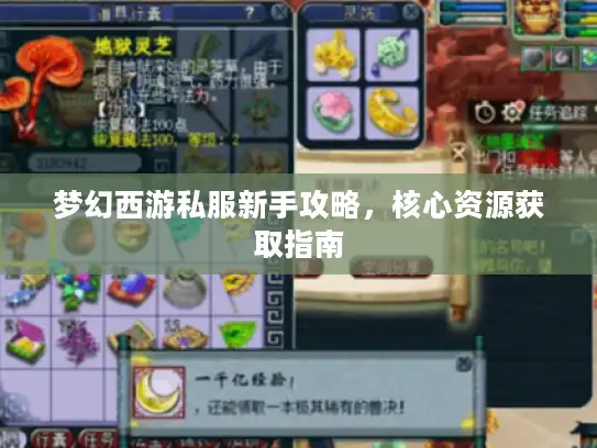 梦幻西游私服新手攻略,核心资源获取指南 梦幻西游私服新手攻略,核心资源获取指南