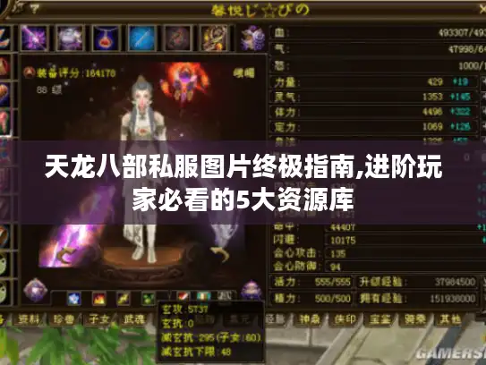 天龙八部私服图片终极指南,进阶玩家必看的5大资源库
