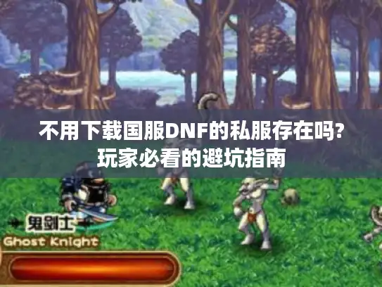 不用下载国服DNF的私服存在吗?玩家必看的避坑指南