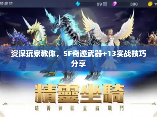 资深玩家教你，SF奇迹武器+13实战技巧分享