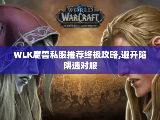 WLK魔兽私服推荐终极攻略,避开陷阱选对服
