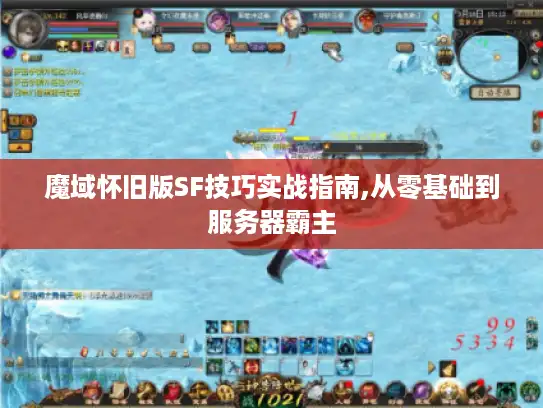 魔域怀旧版SF技巧实战指南,从零基础到服务器霸主 魔域怀旧版SF技巧实战指南,从零基础到服务器霸主