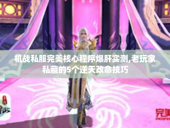 机战私服完美核心程序爆肝实测,老玩家私藏的5个逆天改命技巧 机战私服完美核心程序爆肝实测,老玩家私藏的5个逆天改命技巧