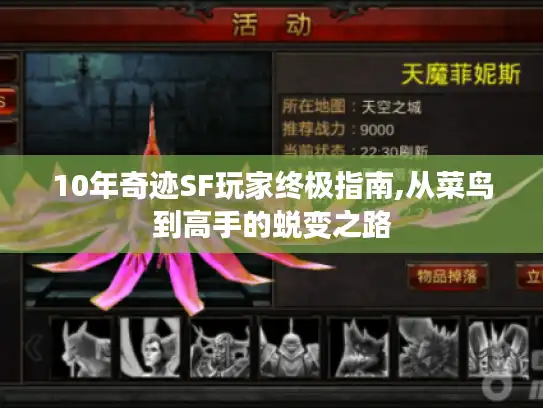 10年奇迹SF玩家终极指南,从菜鸟到高手的蜕变之路