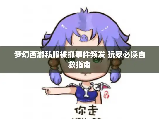 梦幻西游私服被抓事件频发 玩家必读自救指南