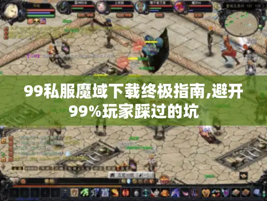 99私服魔域下载终极指南,避开99%玩家踩过的坑