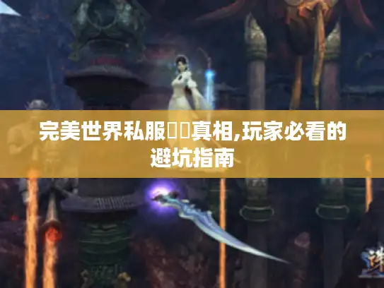 完美世界私服廢錢真相,玩家必看的避坑指南