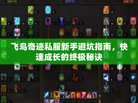 飞鸟奇迹私服新手避坑指南，快速成长的终极秘诀