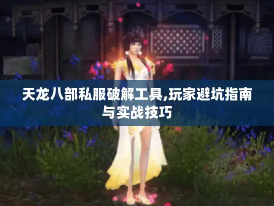 天龙八部私服破解工具,玩家避坑指南与实战技巧