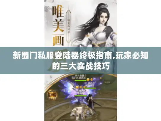 新蜀门私服登陆器终极指南,玩家必知的三大实战技巧