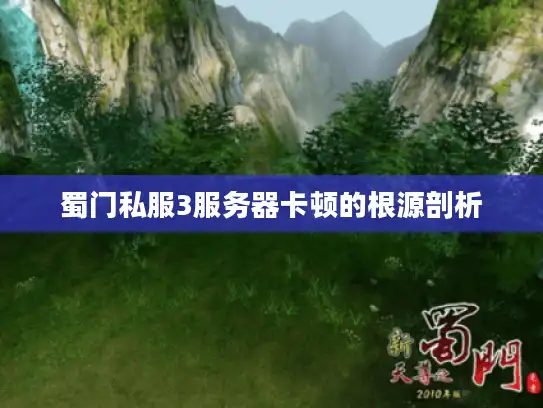 蜀门私服3服务器卡顿的根源剖析