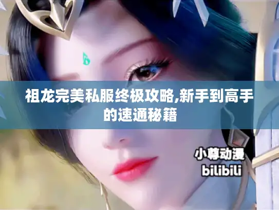 祖龙完美私服终极攻略,新手到高手的速通秘籍