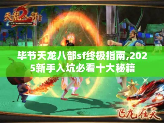 毕节天龙八部sf终极指南,2025新手入坑必看十大秘籍