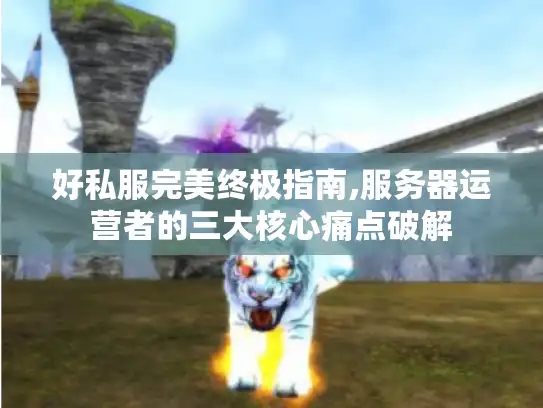 好私服完美终极指南,服务器运营者的三大核心痛点破解