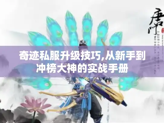 奇迹私服升级技巧,从新手到冲榜大神的实战手册