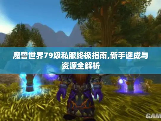 魔兽世界79级私服终极指南,新手速成与资源全解析