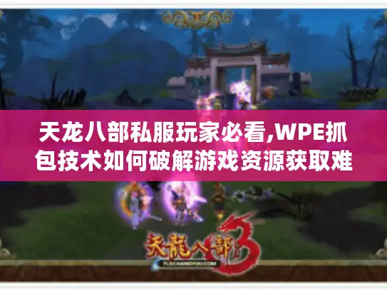 天龙八部私服玩家必看,WPE抓包技术如何破解游戏资源获取难题