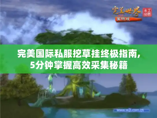 完美国际私服挖草挂终极指南,5分钟掌握高效采集秘籍 完美国际私服挖草挂终极指南,5分钟掌握高效采集秘籍